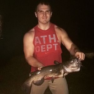 Meet your Posher, Devon